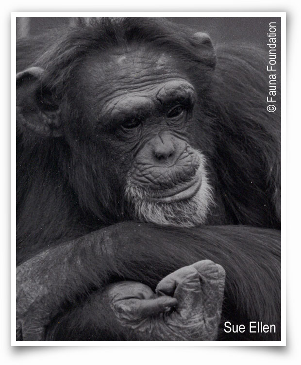 Sue Ellen, Fauna